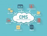 Which CMS you should use for e-commerce and which one is better for your shop