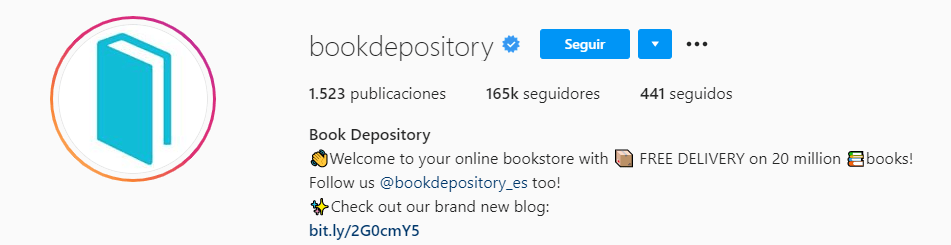 bio-instagram-ecommerce