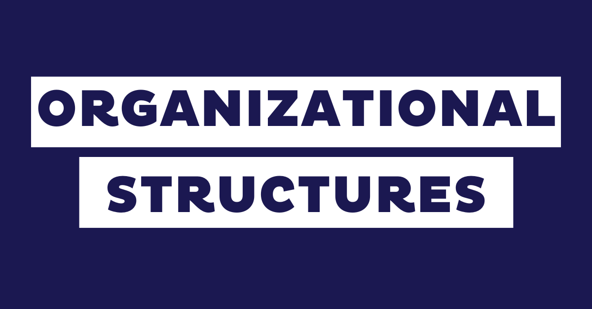 11 Types of Organizational Structures (+ Examples)