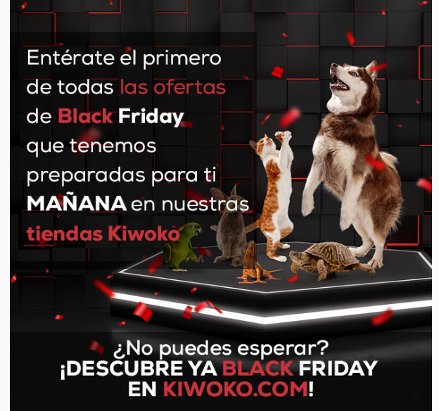 Idea-de-marketing-Black-Friday-VIP